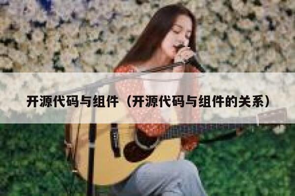 开源代码与组件（开源代码与组件的关系） 第1张