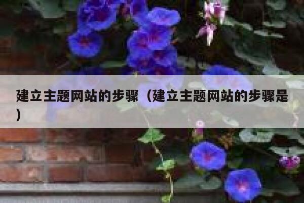 建立主题网站的步骤（建立主题网站的步骤是） 第1张