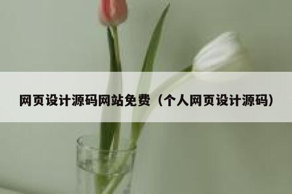 网页设计源码网站免费（个人网页设计源码） 第1张
