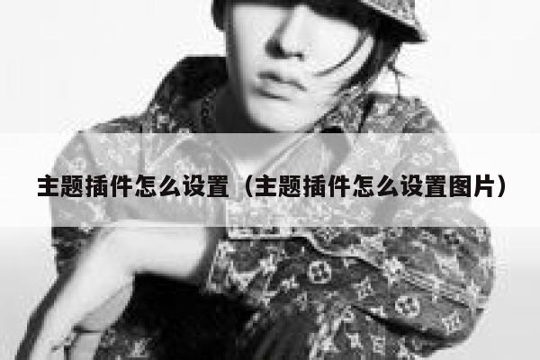 主题插件怎么设置（主题插件怎么设置图片） 第1张