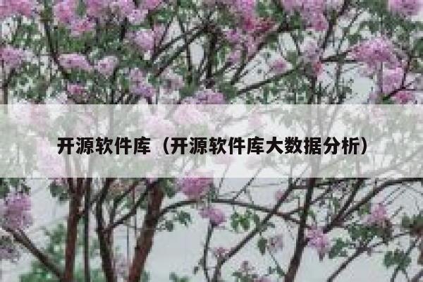开源软件库（开源软件库大数据分析） 第1张