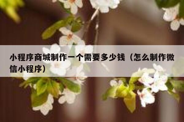 小程序商城制作一个需要多少钱（怎么制作微信小程序） 第1张