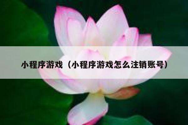 小程序游戏（小程序游戏怎么注销账号） 第1张