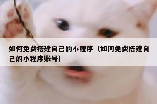 如何免费搭建自己的小程序（如何免费搭建自己的小程序账号） 第1张