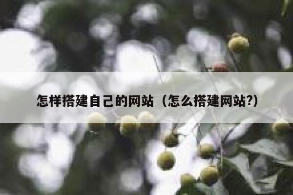 怎样搭建自己的网站（怎么搭建网站?） 第1张