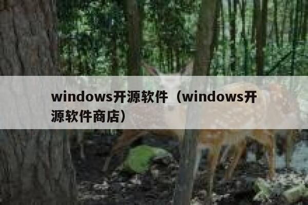 windows开源软件（windows开源软件商店） 第1张