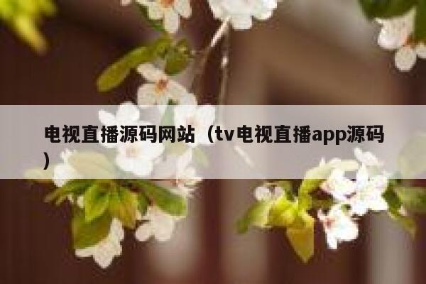 电视直播源码网站（tv电视直播app源码） 第1张