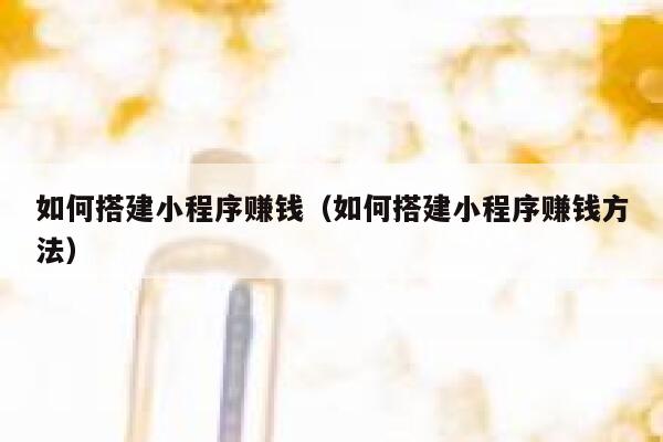 如何搭建小程序赚钱（如何搭建小程序赚钱方法） 第1张
