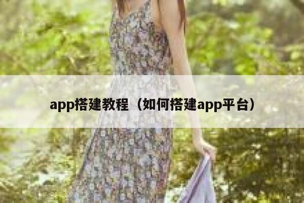 app搭建教程（如何搭建app平台） 第1张