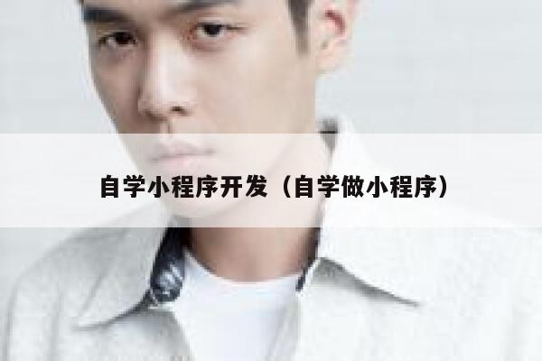 自学小程序开发（自学做小程序） 第1张