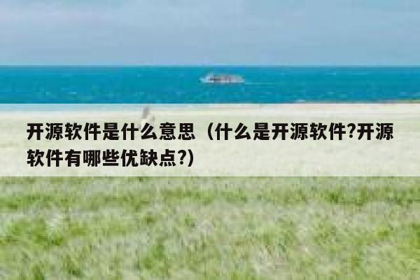 开源软件是什么意思（什么是开源软件?开源软件有哪些优缺点?） 第1张
