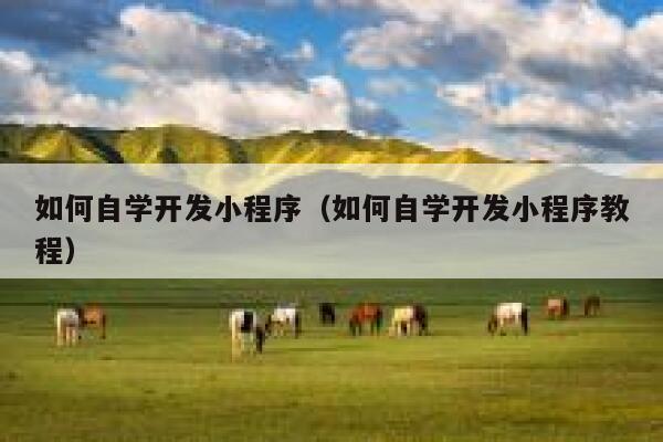 如何自学开发小程序（如何自学开发小程序教程） 第1张