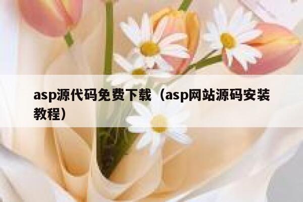 asp源代码免费下载（asp网站源码安装教程） 第1张
