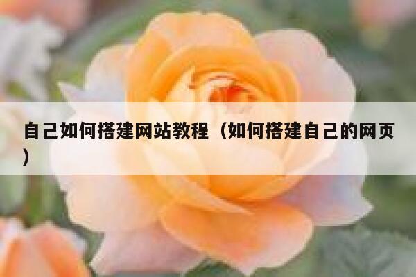 自己如何搭建网站教程（如何搭建自己的网页） 第1张