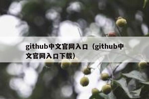 github中文官网入口（github中文官网入口下载） 第1张