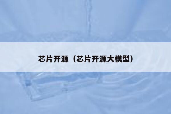芯片开源（芯片开源大模型） 第1张