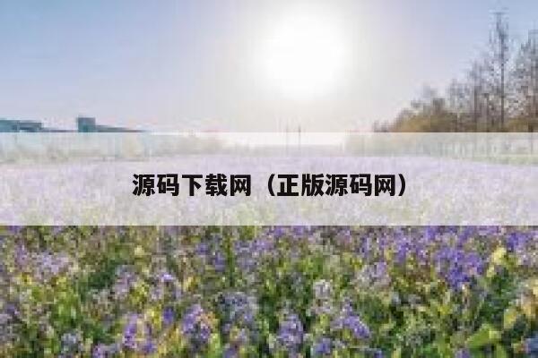 源码下载网（正版源码网） 第1张