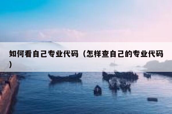 如何看自己专业代码（怎样查自己的专业代码） 第1张