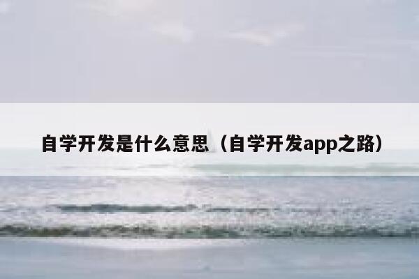 自学开发是什么意思（自学开发app之路） 第1张