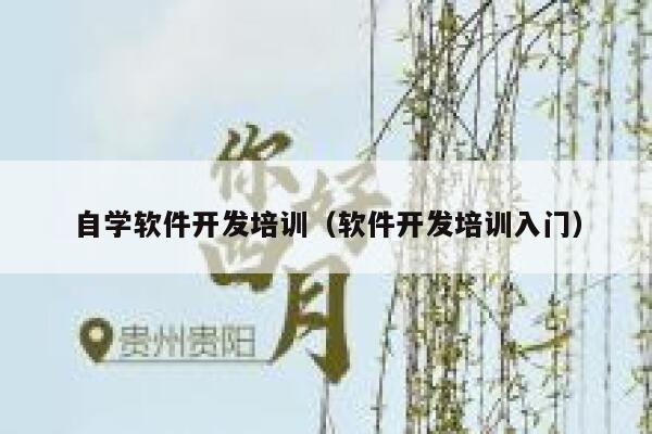 自学软件开发培训（软件开发培训入门） 第1张