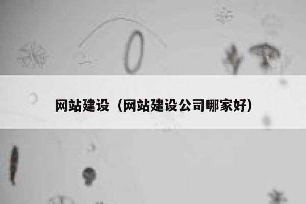 网站建设（网站建设公司哪家好） 第1张