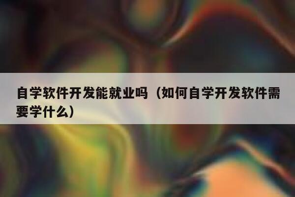 自学软件开发能就业吗（如何自学开发软件需要学什么） 第1张