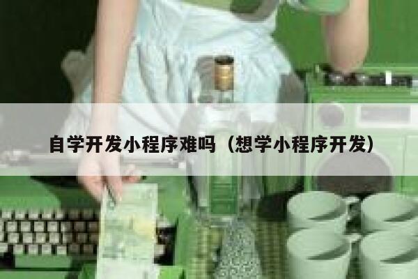 自学开发小程序难吗（想学小程序开发） 第1张