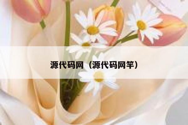 源代码网（源代码网竿） 第1张