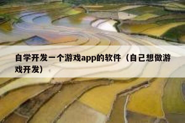 自学开发一个游戏app的软件（自己想做游戏开发） 第1张