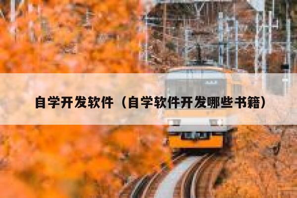 自学开发软件（自学软件开发哪些书籍） 第1张