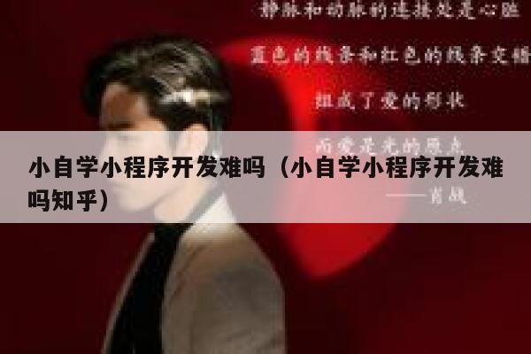 小自学小程序开发难吗（小自学小程序开发难吗知乎） 第1张