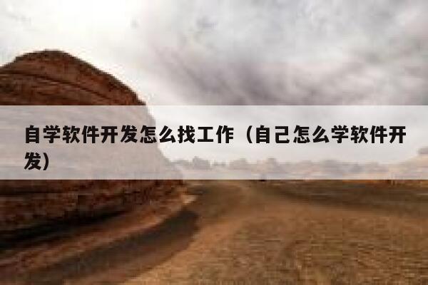 自学软件开发怎么找工作（自己怎么学软件开发） 第1张