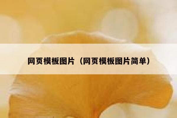 网页模板图片（网页模板图片简单） 第1张
