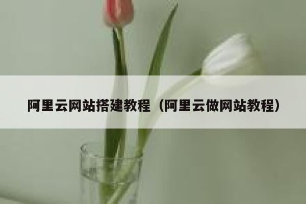 阿里云网站搭建教程（阿里云做网站教程） 第1张
