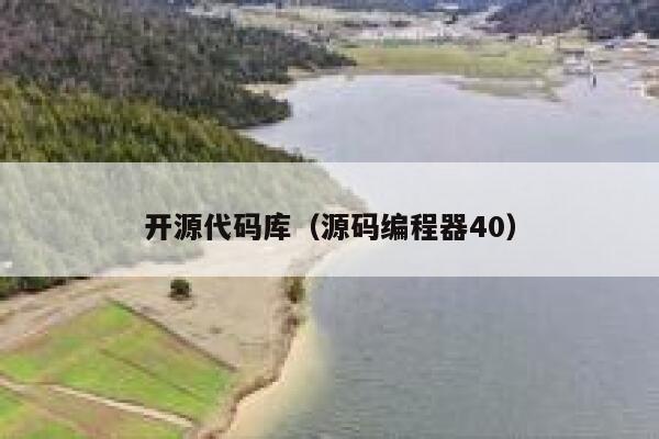 开源代码库（源码编程器40） 第1张