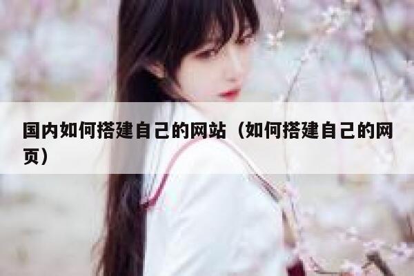 国内如何搭建自己的网站（如何搭建自己的网页） 第1张