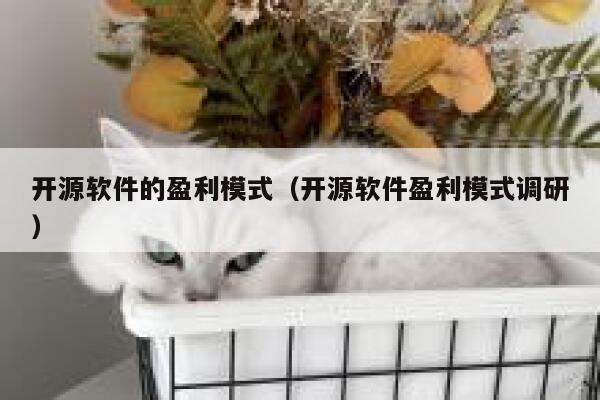 开源软件的盈利模式（开源软件盈利模式调研） 第1张