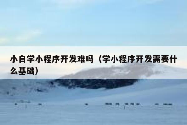 小自学小程序开发难吗（学小程序开发需要什么基础） 第1张