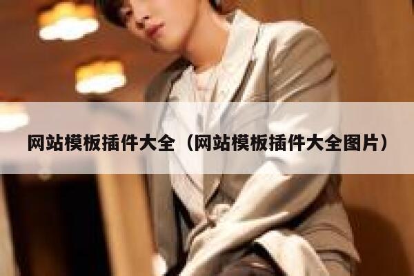 网站模板插件大全（网站模板插件大全图片） 第1张