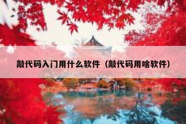 敲代码入门用什么软件（敲代码用啥软件） 第1张