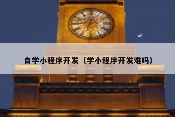 自学小程序开发（学小程序开发难吗） 第1张