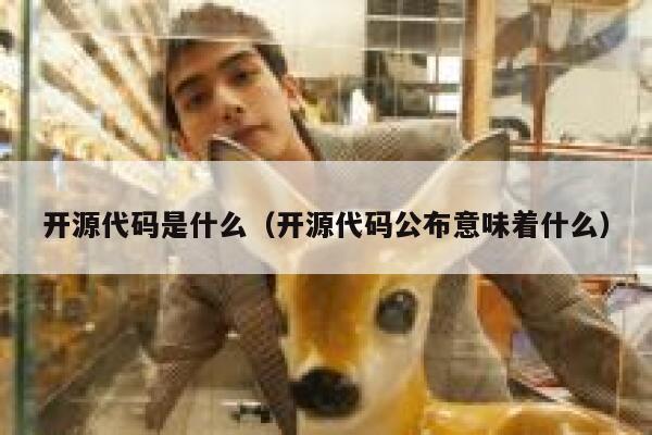 开源代码是什么（开源代码公布意味着什么） 第1张