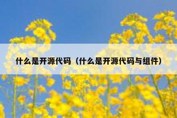 什么是开源代码（什么是开源代码与组件） 第1张