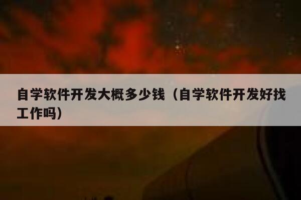 自学软件开发大概多少钱（自学软件开发好找工作吗） 第1张