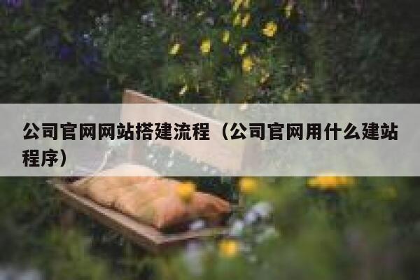 公司官网网站搭建流程（公司官网用什么建站程序） 第1张