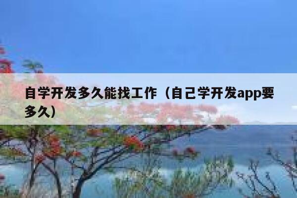 自学开发多久能找工作（自己学开发app要多久） 第1张