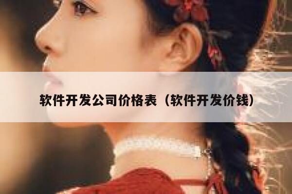 软件开发公司价格表（软件开发价钱） 第1张
