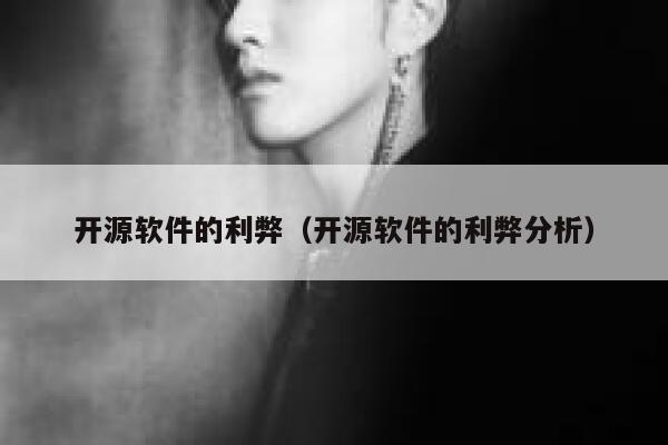 开源软件的利弊（开源软件的利弊分析） 第1张