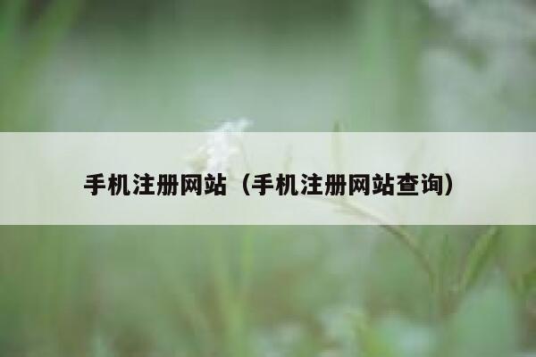 手机注册网站（手机注册网站查询） 第1张