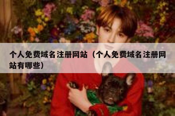 个人免费域名注册网站（个人免费域名注册网站有哪些） 第1张